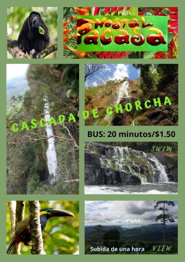 Pacasa Hostel Давид Экстерьер фото
