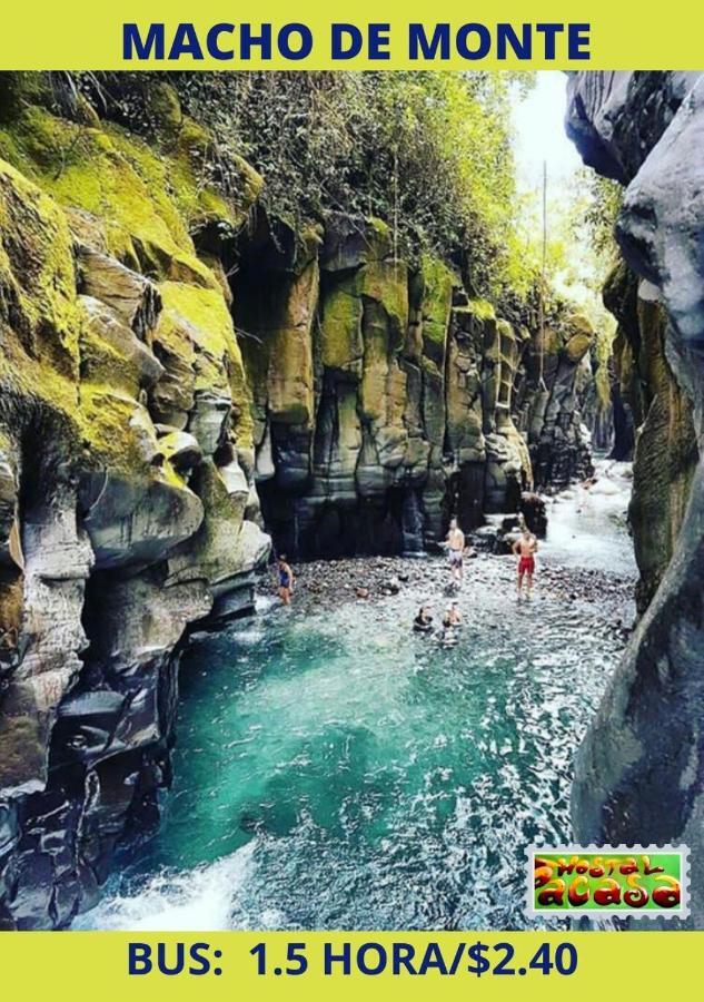 Pacasa Hostel Давид Экстерьер фото